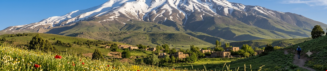 سوند معده سیلیکونی